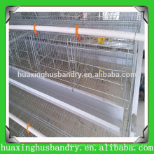 Matériel de volaille cage de poulet produit par Hua Xing avec plus de 20 ans